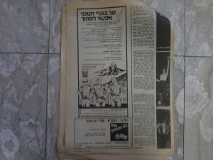 עכברושי בומטאון, הכתבה מלהיטון 1982
