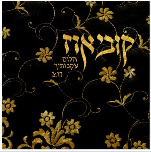 (צילום עטיפה: יח"צ)